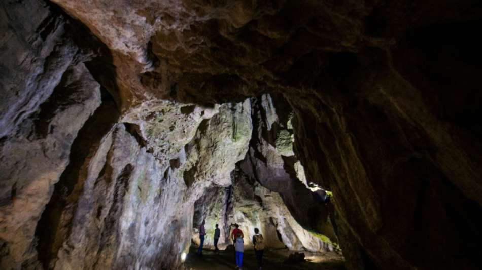 Erbgut-Analyse liefert neue Einblicke in Leben der frühesten Europäer