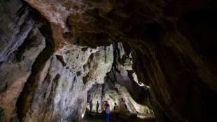 Erbgut-Analyse liefert neue Einblicke in Leben der frühesten Europäer