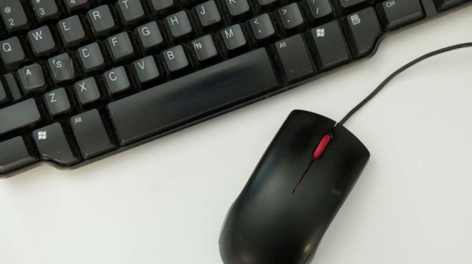 Ein Drittel der Deutschen nutzt noch immer &uuml;berwiegend analoge Angebote