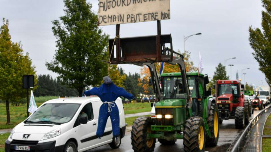 Frankreichs Bauern demonstrieren auf Straßen und vor Präfekturen für ihre Branche