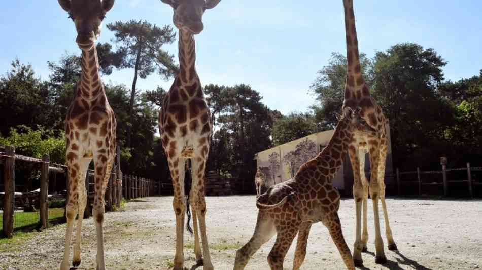 Frankreich - Tierwelt: