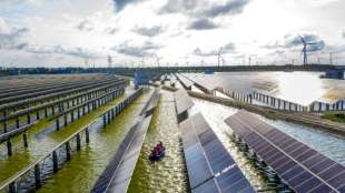 Umweltverb&auml;nde fordern naturvertr&auml;glichen Solarausbau