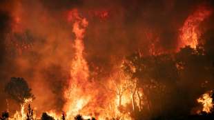 Feuerwehr k&auml;mpft gegen Waldbr&auml;nde in Marokko