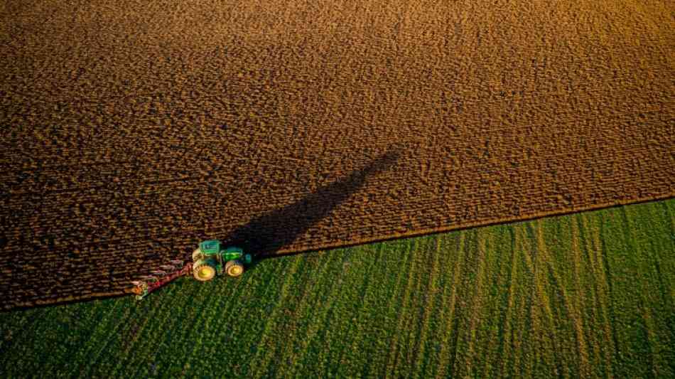 WWF: Bundesregierung soll Landwirte f