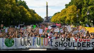 Mehr als eine Million Menschen bei neuem bundesweiten Klimastreik auf der Straße