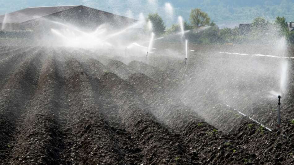 Umweltministerin sieht Deutschland beim Wasser vor "enormen Herausforderungen"