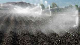 Umweltministerin sieht Deutschland beim Wasser vor "enormen Herausforderungen"