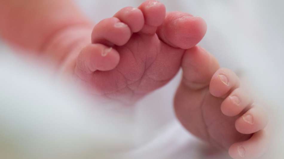 FDP will Leihmutterschaften und Embryonenspenden ermöglichen