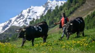Lebenshaltungskosten in der Schweiz im europ&auml;ischen Vergleich am h&ouml;chsten