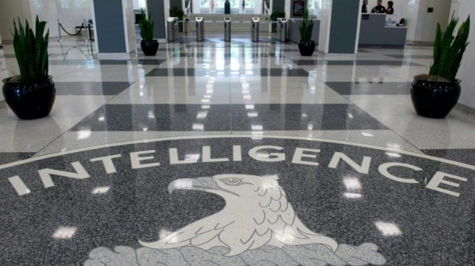 CIA: Wikileaks-Enth