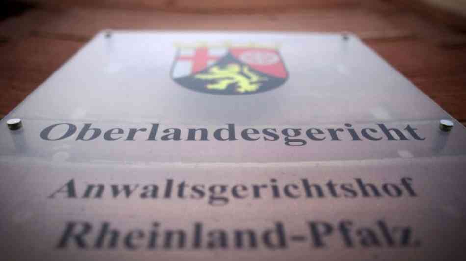 Syrer in Koblenz zu zwei Jahren und acht Monaten Jugendstrafe verurteilt