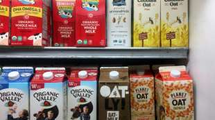 Import von Pflanzendrinks hat sich in vergangenen Jahren verdoppelt