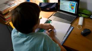 Hacker aus Russland und China griffen Frankreichs Schulportal an