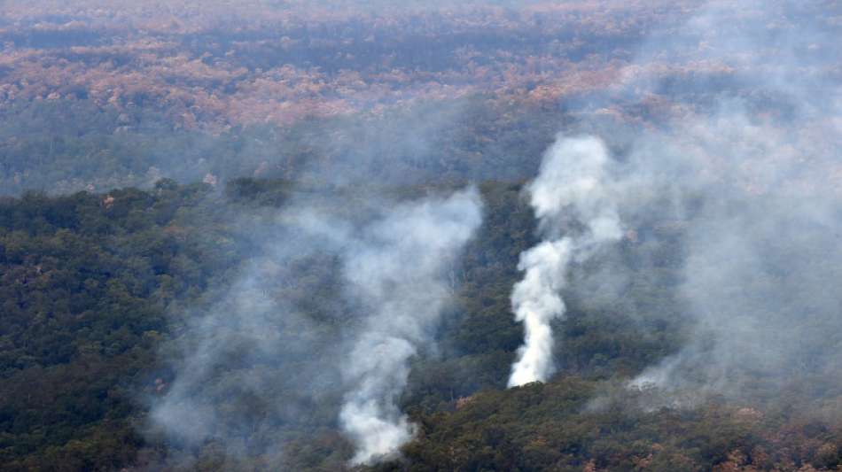 Experten: Brände in Australien tragen zu Rekord-CO2-Konzentration 2020 bei