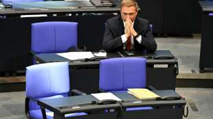 Lindner für Steuersenkungen ohne anfängliche Gegenfinanzierung