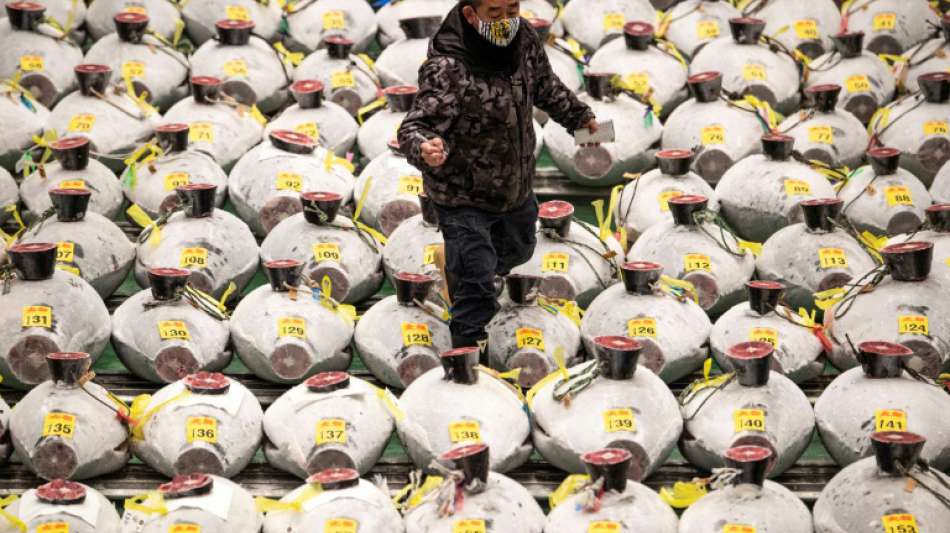 Thunfisch-König ersteigert bei jährlicher Auktion in Tokio nicht teuersten Fisch