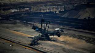 Umweltbundesamt fordert nach Karlsruher Klima-Urteil früheren Kohleausstieg