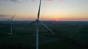 Altmaier für schnelleres Genehmigungsverfahren für Windkrafträder