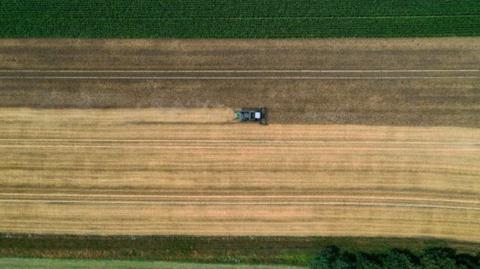 Bundestag stimmt über Agrarpolitik und Verbraucherrechte ab