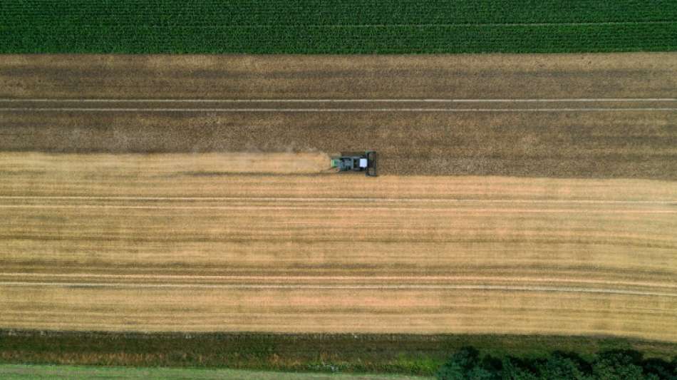 EU-Agrarminister wehren sich gegen Kritik an ihren Reformplänen