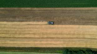 Verhandlungen über milliardenschwere EU-Agrarreform ohne Durchbruch