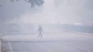 Indiens Hauptstadt ergreift eine Reihe von Maßnahmen gegen gefährlichen Smog