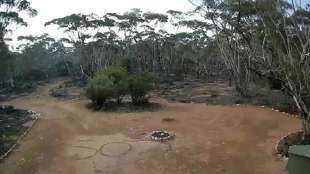 Im Busch verirrte Australierin ruft Retter durch SOS-Schriftzug herbei