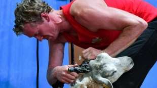 Waliser und Neuseeländer triumphieren bei Weltmeisterschaft der Schafscherer