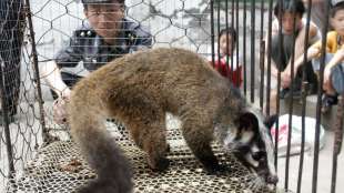 China verbietet wegen Coronavirus vorübergehend Wildtierhandel