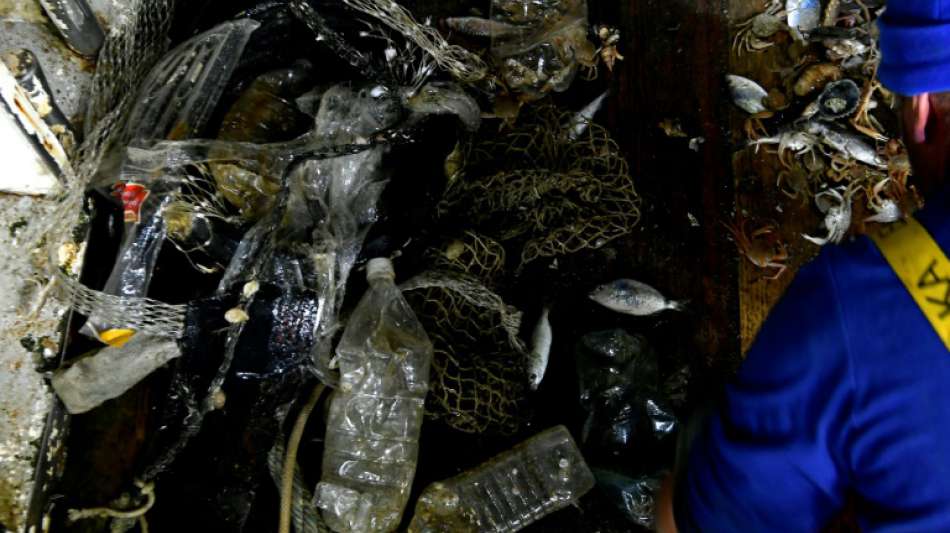 WWF beteiligt Taucher und Fischer per App an der Suche nach