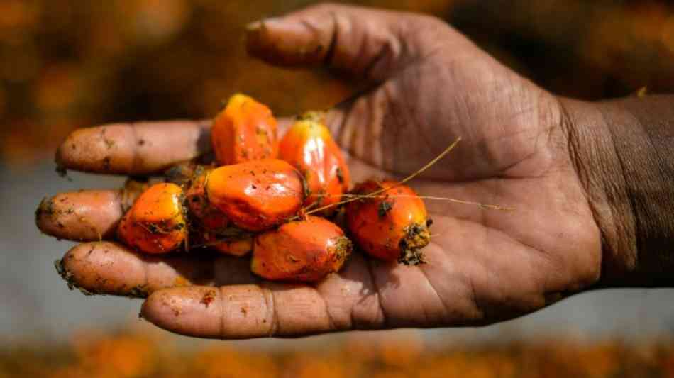 WWF kritisiert "Totalverweigerer" bei Palm