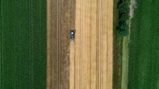 Kartoffelernte f&auml;llt 2021 geringer aus als im Vorjahr