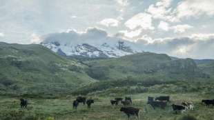 Vier Bergsteiger sterben bei Lawinenabgang auf schneebedecktem Vulkan in Ecuador