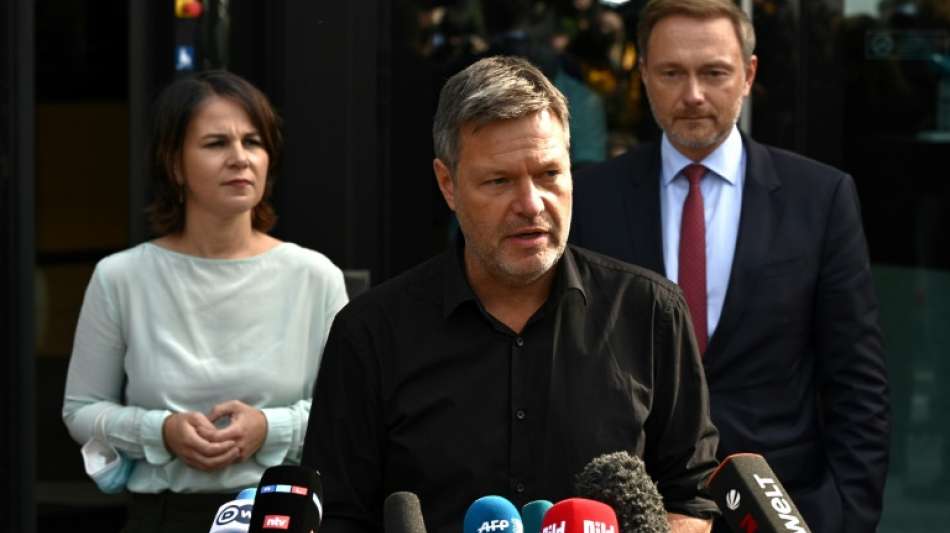 FDP und Gr&uuml;ne: Gro&szlig;e Differenzen in der Finanzpolitik