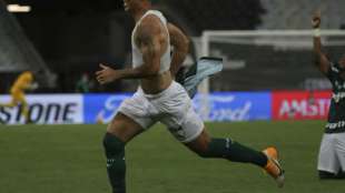 Palmeiras gewinnt Copa Libertadores und f&auml;hrt zur Klub-WM
