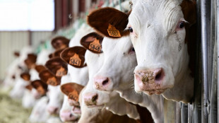Nutztiere in Deutschland stoßen seit 2003 weniger Methan aus als im Kaiserreich