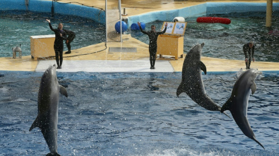 Las orcas y delfines de un parque acu&aacute;tico que cierra en Francia no pueden ser llevados a Espa&ntilde;a