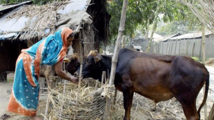 Schulze will massiv Gelder f&uuml;r feministische Entwicklungspolitik umschichten