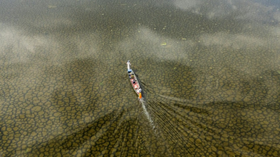  Much-needed rains revive Iraq's fabled Mesopotamian Marshes 