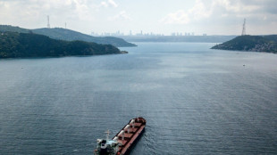 Anulan en L&iacute;bano la venta del primer cargamento de granos exportado desde Ucrania