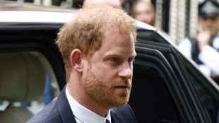 Prinz Harry mit Klage für Polizeischutz bei Großbritannien-Besuchen gescheitert