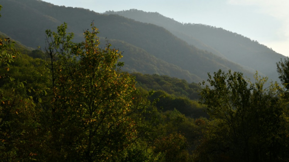  Forest destruction tests Armenia-Azerbaijan peace push 