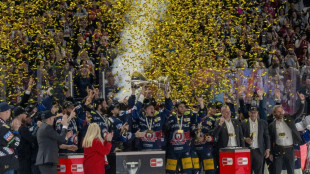 Play-offs, Deutschland Cup, Olympia: Der Fahrplan der DEL-Saison