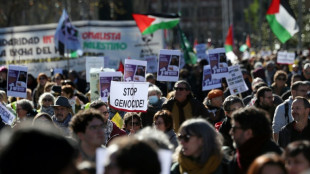 Milhares de pessoas protestam na Espanha para pedir fim do 'genoc&iacute;dio na Palestina'