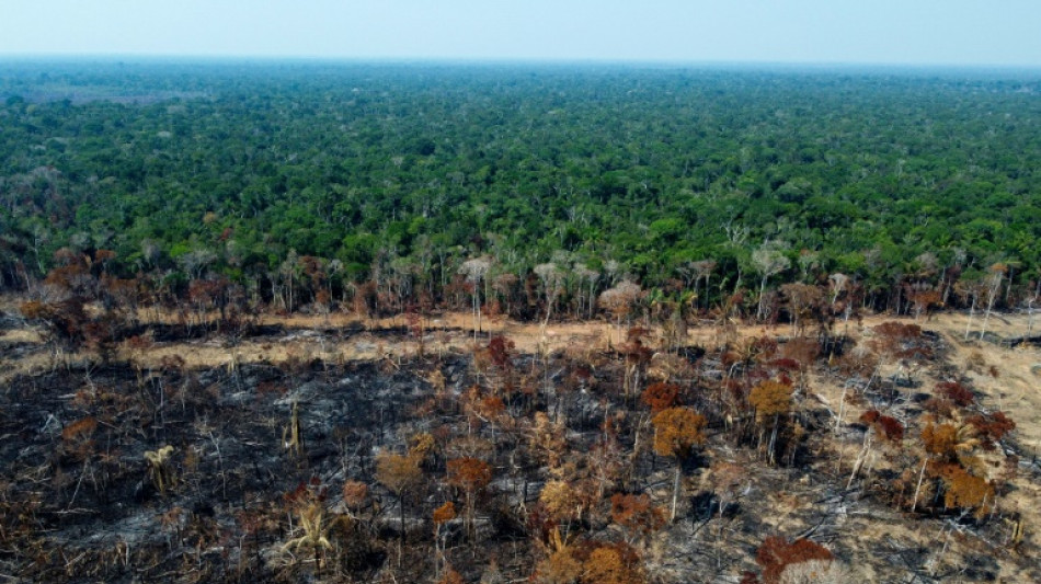 Brasilien empfängt andere Amazonasstaaten zu Gipfeltreffen 