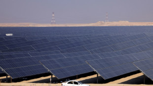 Emirados Árabes se comprometem a triplicar produção de energias renováveis