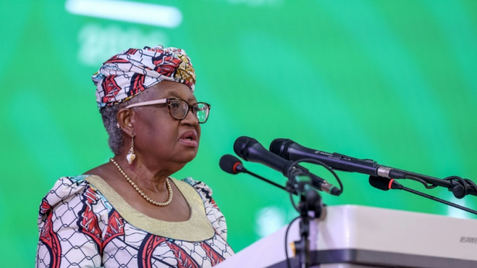 WTO-Verhandlungen ohne Ergebnis beendet - Zollmoratorium f&uuml;r Digitales l&auml;uft aus