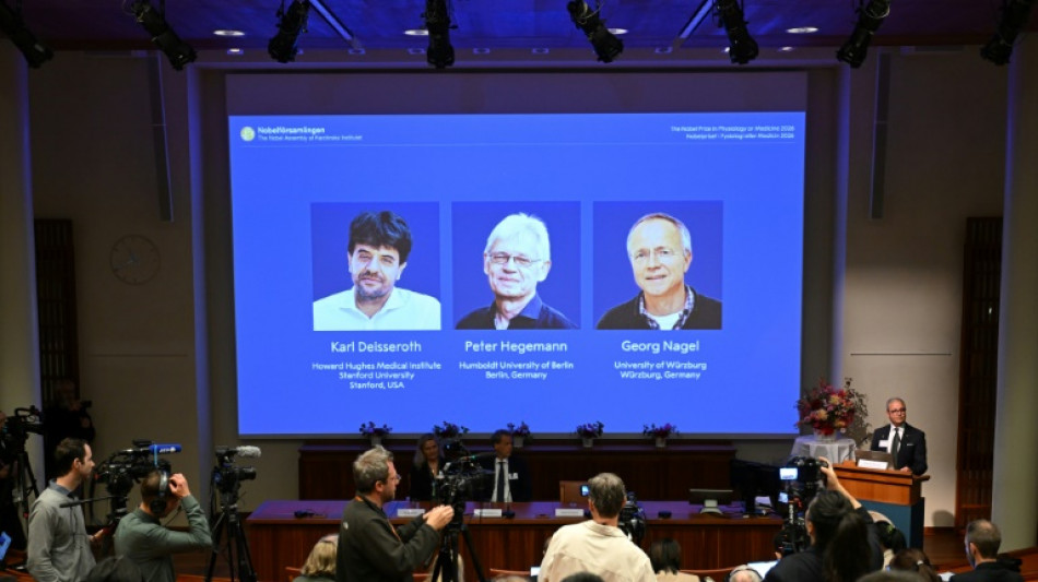  Le Nobel de m&eacute;decine r&eacute;compense des travaux sur les myst&egrave;res du cerveau 