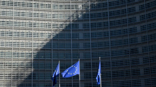 EU funding of NGOs 'too opaque', auditors find amid political storm
