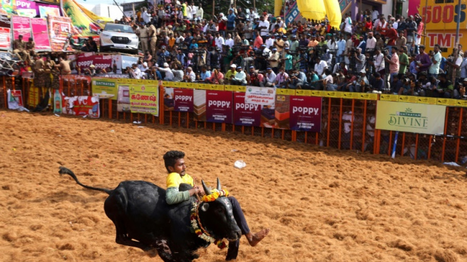 One dead, dozens injured at bull-taming contest in India